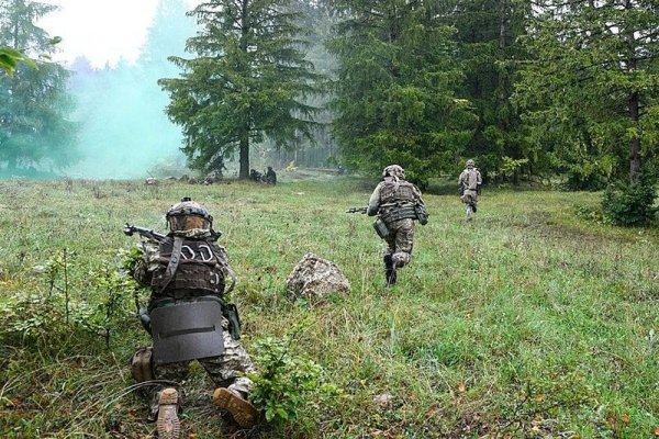 Кракен шоп что это